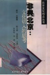 “非典”北京  文化切入的思考