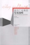 城市广电集团发展战略  国家社会科学基金重大招标项目资助 封面