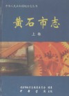 黄石市志  上 电子书封面