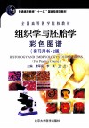 组织学与胚胎学彩色图谱  实习用书