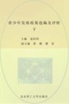 青少年发展政策选编及评析  下