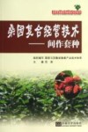 桑园复合经营技术  间作套种封面