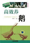 高效养鹅封面