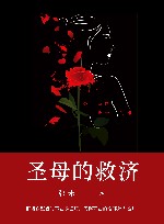 圣母的救济  数学女王的复仇 封面