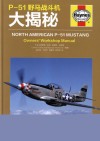 P-51野马战斗机大揭秘封面