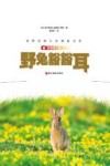世界动物小说精品书系  野兔豁豁耳  影像青少版
