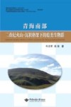 青海南部二叠纪火山  沉积格架下的蜓类生物群封面