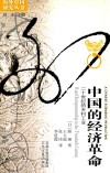 中国的经济革命  20世纪的乡村工业
