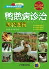 鸭鹅病诊治  原色图谱