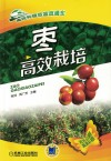 高效种植致富直通车 枣高效栽培封面