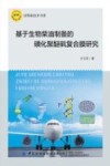 基于生物柴油制备的磺化聚醚砜复合膜研究