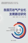 我国页岩气产业化发展路径探索