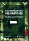 安吉小鲵国家级自然保护区珍稀濒危植物图鉴