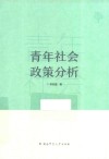青年社会政策分析