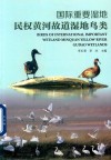 国际重要湿地民权黄河故道湿地鸟类