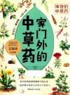 神奇的中草药  家门外的中草药
