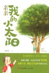 亲亲我的小太阳 封面