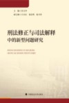 刑法修正与司法解释中的新型问题研究