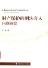 财产保护的刑法介入问题研究