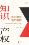 知识产权诉讼实战进阶教程