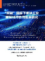 双碳目标下钢铁工业降碳减污协同发展研究