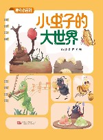 神奇小百科  小虫子的大世界 封面