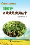 刺嫩芽高效栽培实用技术封面