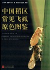 中国稻区常见飞虱原色图鉴