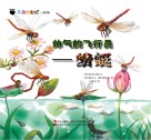 帅气的飞行员 蜻蜓封面
