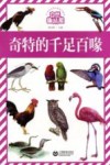 自然趣玩屋  奇特的千足百喙