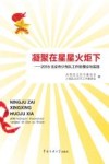 凝聚在星星火炬下  2016北京市少先队工作的理论与实践