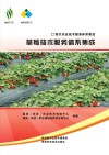 现代农业技术服务体系集成  草莓技术服务体系集成封面