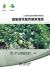 现代农业技术服务体系集成  甜瓜技术服务体系集成封面
