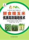 鲜食糯玉米优质高效栽培技术封面