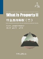 什么是所有权  2