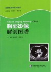 胸部影像解剖图谱