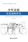 少年法庭发展战略研究