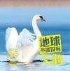 地球不能没有天鹅