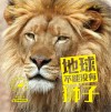 地球不能没有狮子