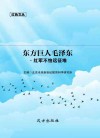东方巨人毛泽东·红军不怕远征难封面