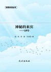 神秘的来宾：UFO