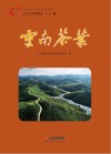 2020云南茶叶 一卷封面