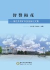 智赞梅花  梅花井煤矿科技创新论文集封面