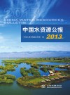 中国水资源公报  英文