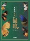 滇东南常见蝴蝶封面