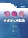 病理学实验图解  第3版封面