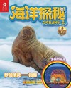 海洋探秘  梦幻精灵  海豚封面