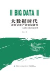 大数据时代农村文化产业发展研究 封面