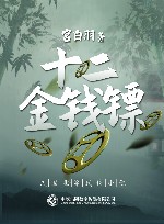 十二金钱镖