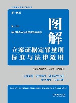 图解立案证据定罪量刑标准与法律适用  第2分册  第14版